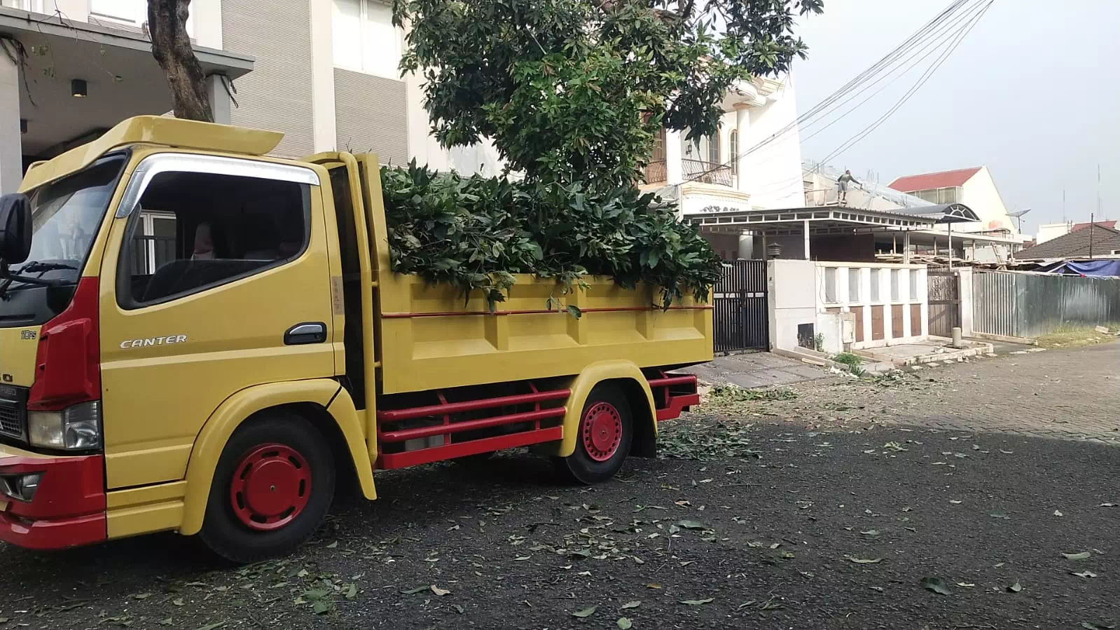 Truk bermuatan ranting dan daun hasil tebang pohon